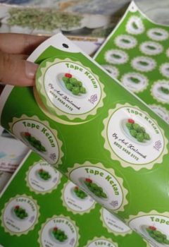 WhatsApp Image 2025-10-27 at 15.43.36_6a675ee0