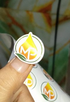 WhatsApp Image 2025-10-31 at 18.51.23_18991a4a